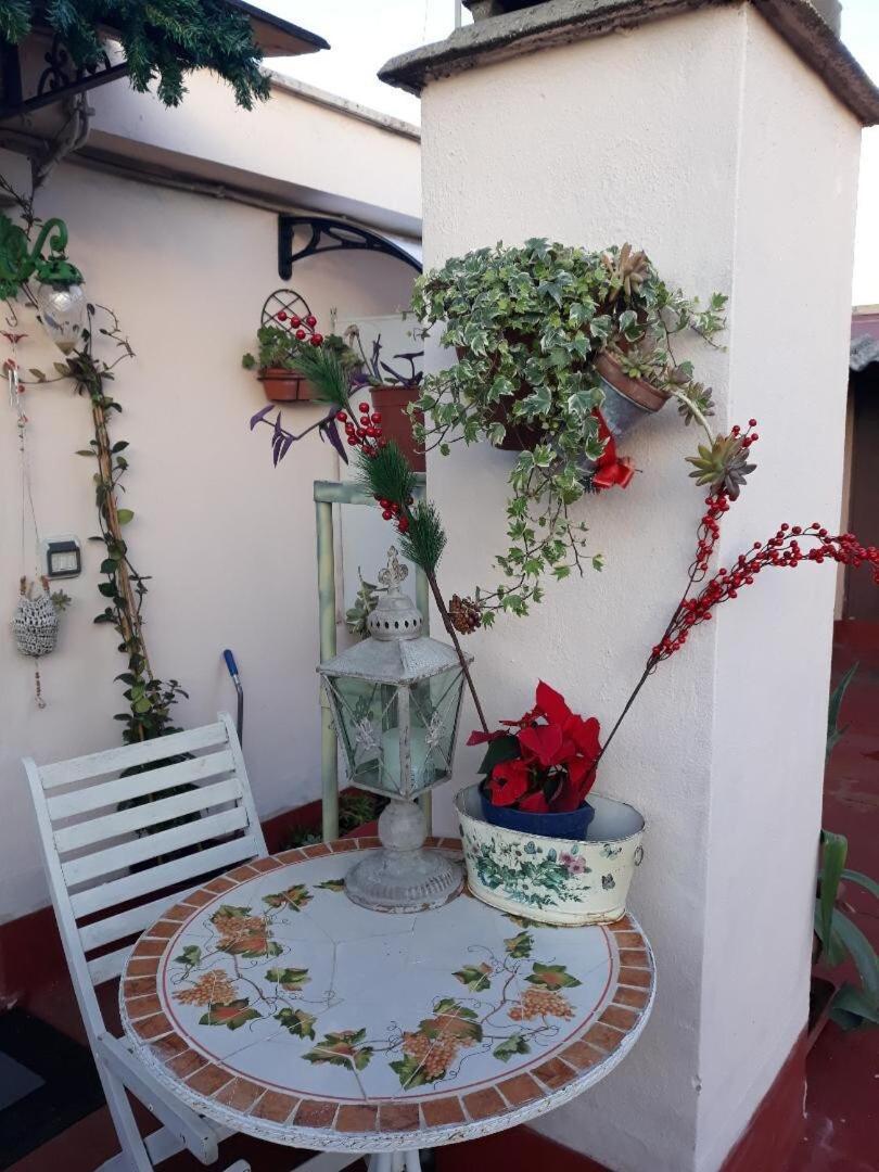 La Casina On The Roof - Roma